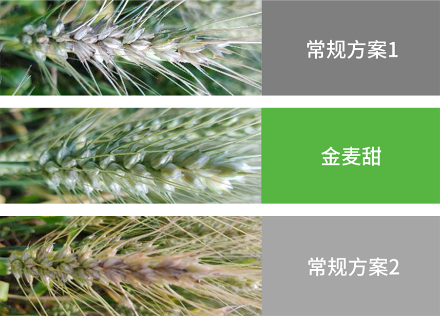 太阳集团城8722(Macau)股份有限公司-Official website