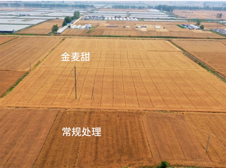 太阳集团城8722(Macau)股份有限公司-Official website