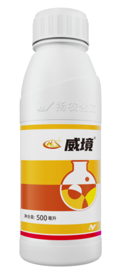 太阳集团城8722(Macau)股份有限公司-Official website