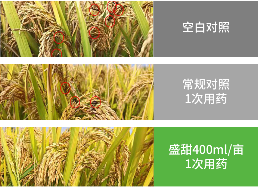 太阳集团城8722(Macau)股份有限公司-Official website