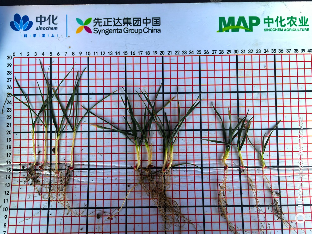 太阳集团城8722(Macau)股份有限公司-Official website