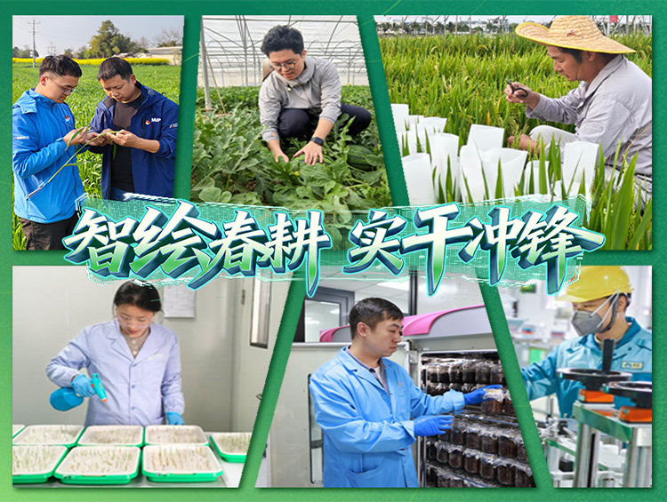 智绘春耕 | 以春为序，以耕作答，写下太阳集团城8722“春耕日记”