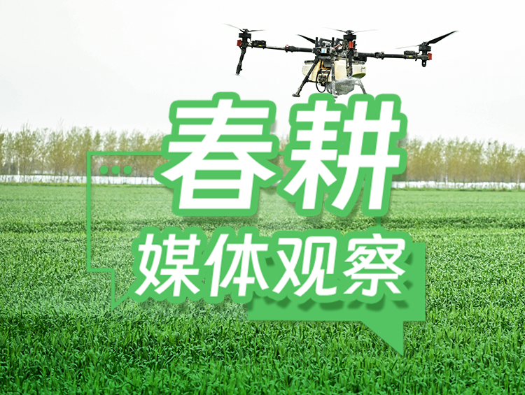 迎“大考”闯“三关”，筑牢小麦稳产防线
